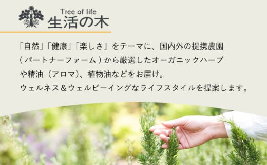 【12/24までの決済で年内発送】みずなみ ブレンド精油 2種 アロマストーン セット 古代ジャングル × おかえり 瑞浪市 / 生活の木 瑞浪ファクトリー直送 エッセンシャルオイル アロマ [AZBE026]