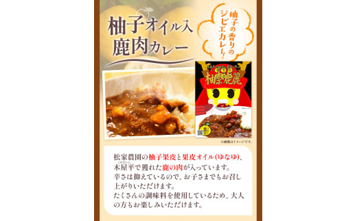 木屋平特産ゆず「柚奈」使用 柚奈鹿麗 200g×5個 セット《30日以内に出荷予定(土日祝除く)》株式会社Surfrider(松家農園) 徳島県 美馬市 ゆず カレー ジビエ ジビエカレー 鹿肉 鹿 送料無料