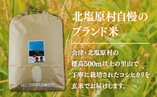 【玄米】【令和6年産】【新米】会津・北塩原村産「コシヒカリ」10kg（大塩棚田米・標高500ｍ里山栽培） 【 ふるさと納税 人気 おすすめ ランキング コシヒカリ 米 10kg 白米 お米 国産 コメ こめ おコメ おこめ ブレンド米 ブレンド ご飯 白飯 ごはん 玄米 ゴハン おにぎり 福島県産 棚田米 福島県 北塩原村 送料無料 】 KBK012