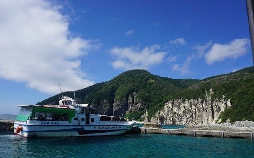 仏ヶ浦観光船乗船券２枚組