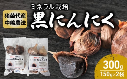 黒にんにく 300g ミネラル栽培 中嶋農法 稲苗代町産 自家製栽培 稲苗代 福島 [№5771-1301]