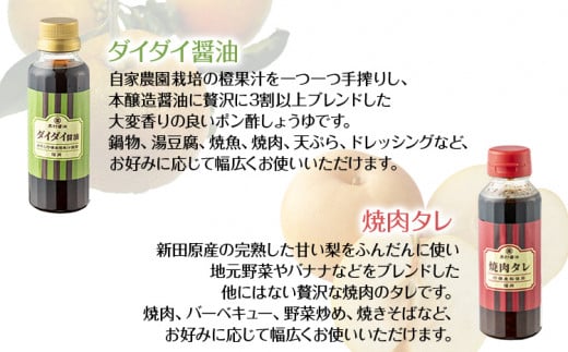 アレンジ5本セット トマト 人参 にんじん 玉ねぎ たまねぎ フレッシュ パスタソース 焼肉のタレ サラダ ハンバーグ 野菜摂取 保存料不使用