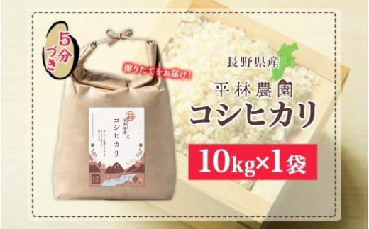 令和6年産 コシヒカリ 5分づき米 10kg×1袋 長野県産 米 お米 ごはん ライス 分つき米 農家直送 産直 信州 人気 ギフト お取り寄せ 平林農園 送料無料 長野県 大町市