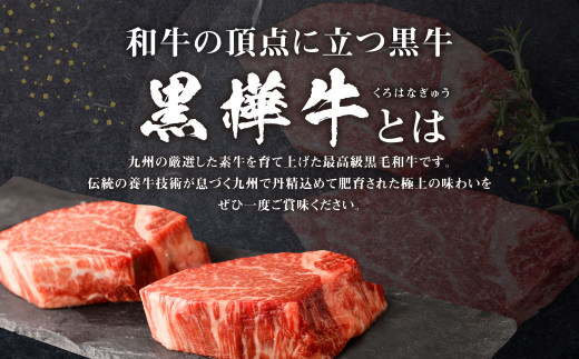 くまもと 黒毛和牛 黒樺牛 A4~A5等級 ヒレステーキ (150g×2) 300g ステーキ 牛肉 和牛