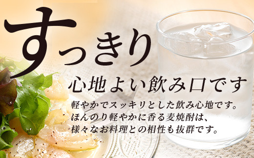 【11月発送】メガボトル！ 純 麦焼酎【麦一石】4L エコペット 25度  焼酎 蔵元直送 4リットル パーティサイズ 麦 酒 麦麹 焼酎 大容量 熊本 球磨 焼酎 多良木町 040-0586-11