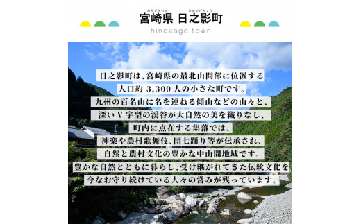 ≪返礼品なし・1,000円≫宮崎県日之影町への寄附【日之影町】【HN001】