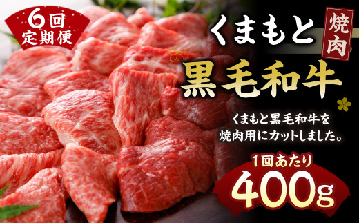 くまもと黒毛和牛 焼肉 400g 定期便6回