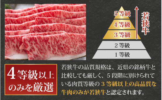 【福井のブランド牛肉】若狭牛ロースor肩ロース肉 すき焼き用  500g(250g×2パック)【4等級以上】