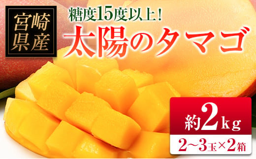 □糖度15度以上！宮崎県産 「太陽のタマゴ」（合計約2kg）