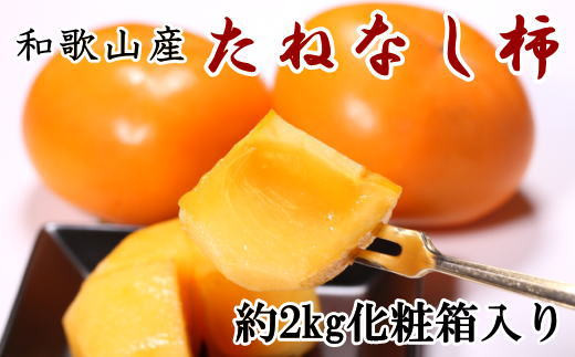 【秋の味覚】和歌山産のたねなし柿2L～4Lサイズ約2kg（化粧箱入り）※2024年10月上旬～2024年11月上旬頃順次発送【tec408】