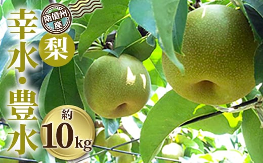 南信州産「梨」約10kg<幸水・豊水>【1080089】