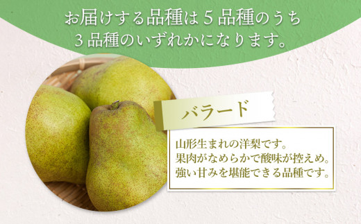 【令和6年産 先行予約】山形県鶴岡市産 洋梨定期便　3種類の洋梨をお届け　約3kg×3回 品種おまかせ　庄内産直センター