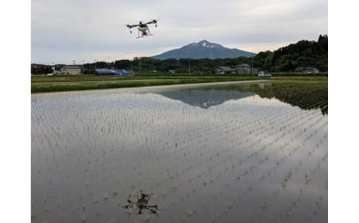 新米 令和6年産 まっしぐら 白米 5kg 1袋 米 精米 こめ お米 おこめ コメ ご飯 ごはん 令和6年 特別栽培米 H.GREENWORK 青森 青森県