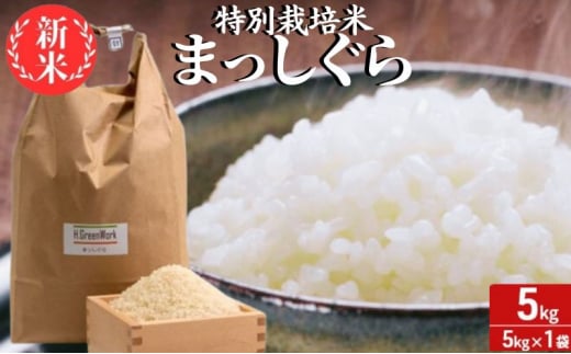 新米 令和6年産 まっしぐら 白米 5kg 1袋 米 精米 こめ お米 おこめ コメ ご飯 ごはん 令和6年 特別栽培米 H.GREENWORK 青森 青森県