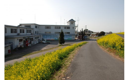 日本学生航空連盟　妻沼訓練所　施設利用券（3,000円分）