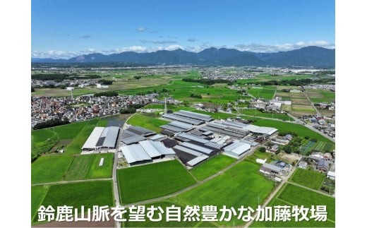 松阪牛の品評会で最優秀賞受賞歴のある 加藤牧場の黒毛和牛 ロース･肩ロース 1kg/牛肉 国産牛 国産 和牛 大容量 冷凍便 年末年始 お正月 黒毛和牛 ロース 肩ロース 肉 上質 家族 焼肉 しゃぶしゃぶ すき焼き 鍋 おいしい 美味しい 人気 おすすめ 三重県 四日市市 ふるさと納税