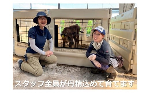 松阪牛の品評会で最優秀賞受賞歴のある 加藤牧場の黒毛和牛 ロース･肩ロース 1kg/牛肉 国産牛 国産 和牛 大容量 冷凍便 年末年始 お正月 黒毛和牛 ロース 肩ロース 肉 上質 家族 焼肉 しゃぶしゃぶ すき焼き 鍋 おいしい 美味しい 人気 おすすめ 三重県 四日市市 ふるさと納税