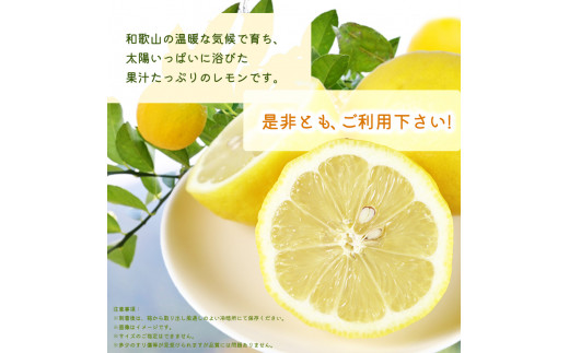 秀品　紀州有田産レモン　2.5kg【予約】※2025年3月上旬頃～3月下旬頃に順次発送予定(お届け日指定不可) レモン れもん 果物 柑橘【uot776】