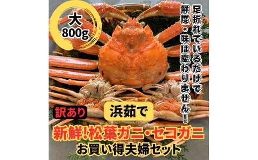 【訳あり】浜茹で！松葉ガニ・セコガニセット（大）鳥取網代港 岩美 松葉がに ずわいがに かに カニ  せこがに 親がに日本海【さかなや新鮮組】【22019】