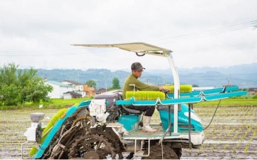 【定期便】日永園 ヒノヒカリ 白米 10kg×12ヶ月