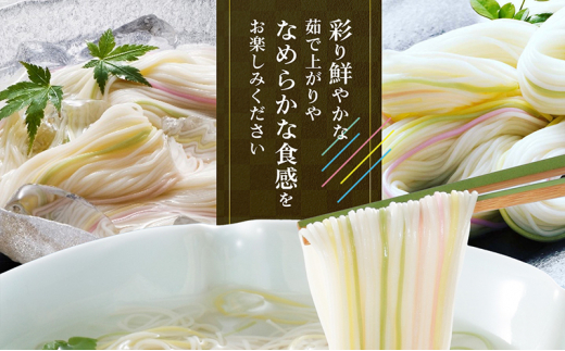 手延五色そうめん　麺匠 IT-L [№5310-0201]