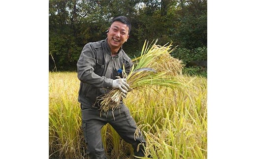 青森わっぱ飯（肉飯）「青森4大肉と青森なんぶ達者米」4個セット（牛・豚・馬・鶏）【なんぶ農援】 牛肉 豚肉 馬肉 鶏肉 わっぱ 肉 青森県 南部町 F21U-110