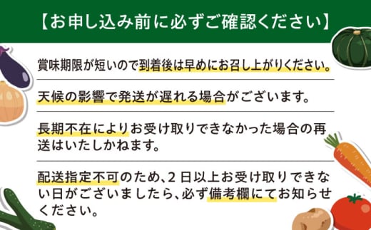  メロン 化粧箱入り フルーツ 果物 赤肉 先行予約 常温 常温配送 北海道 