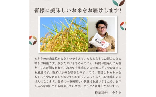 【2025年3月中旬発送】【定期便】令和6年産新潟県妙高産斐太の里コシヒカリ「旬」5kg×6回（計30kg）