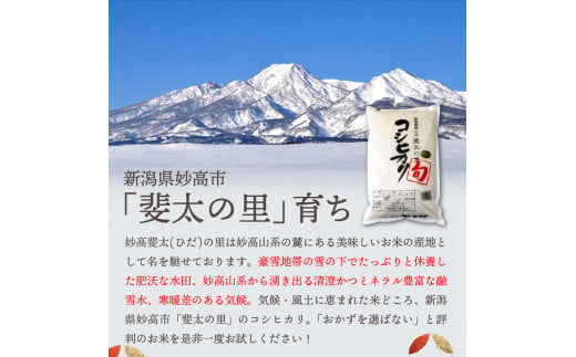 【2025年3月中旬発送】【定期便】令和6年産新潟県妙高産斐太の里コシヒカリ「旬」5kg×6回（計30kg）