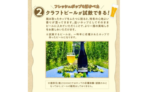 ◆先行予約◆ 《忍野村産　ホップ収穫体験》 フレッシュホップを浮かべた「OSHINO HOP belgian saison」試飲付き