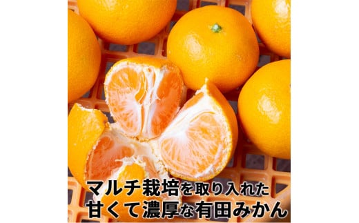 ▼特選有田みかん 【創業120年農家直送】 5kg サイズ混合 ※11月より順次発送予定 【isy004-r-5】