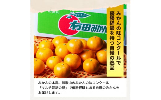 ▼特選有田みかん 【創業120年農家直送】 5kg サイズ混合 ※11月より順次発送予定 【isy004-r-5】