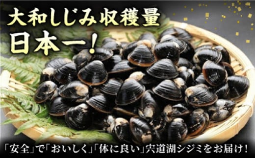 【年内発送対象】生産量日本一！宍道湖産 ヤマトシジミLサイズ(真空冷凍) 80g×20袋 島根県松江市/有限会社日本シジミ研究所 [ALBS002]