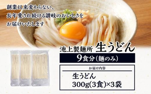 本家　池上製麺所　生うどん9食（麺のみ）