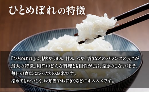 【宮城県岩沼市産】ひとめぼれ玄米 10kg お米 こめ コメ [№5704-0867]