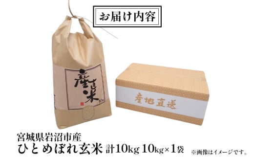 【宮城県岩沼市産】ひとめぼれ玄米 10kg お米 こめ コメ [№5704-0867]