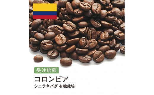 コーヒー豆 #227 コロンビア シエラネバダ 有機栽培 受注焙煎！310g 珈琲豆  自家焙煎