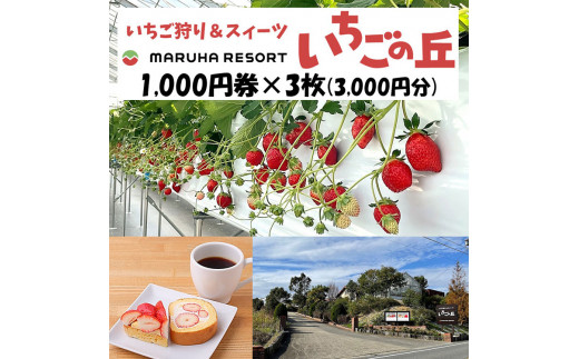 まるは食堂 マルハリゾート いちごの丘1,000円券3枚（3,000円分） ※着日指定不可