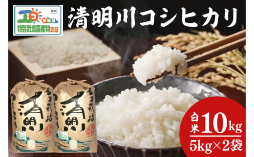 04-02 茨城県特別栽培認証 清明川コシヒカリ白米5kg×2袋【令和6年産新米】【米 おこめ こしひかり  特別栽培米 農家直送 直送 茨城県 阿見町】