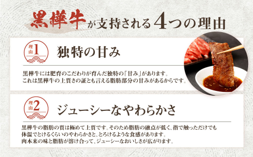 くまもと黒毛和牛 黒樺牛 A4~A5等級 焼肉用カルビ 合計約500g 約250g×2パック