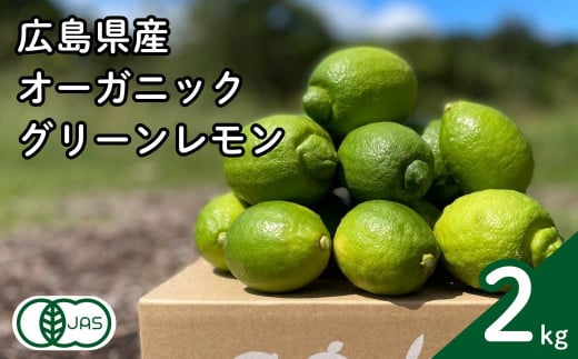 広島産オーガニックグリーンレモン 約2kg 有機JAS 