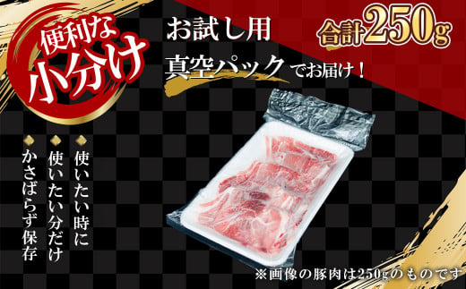 【農場直送】真空パック　北海道産　北島ワインポーク　お試し切り落とし 250g 【小分け】