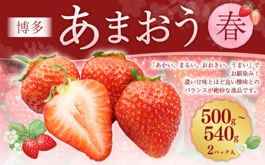 博多あまおう2パック（春） 250g～270g×2パック 合計約500g～540g 【2025年2月上旬-4月下旬発送予定】