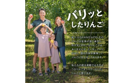 〈令和6年産先行予約〉産地直送　葉とらずサンふじ　訳あり　約4kg【1428763】