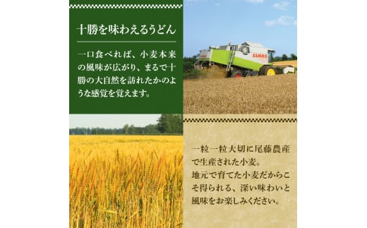 北海道十勝芽室町 BITO LABO十勝のかおりうどん　250g×6 me004-003c