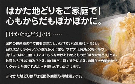 はかた地どり水炊き満喫セット（特製調理料付2～3人前×3回分）おもむき屋[F4302]