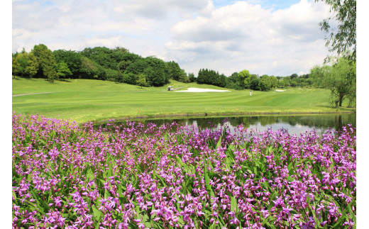 東建塩河カントリー倶楽部利用券（12,000円分）【 岐阜県 可児市 ゴルフ golf ゴルフ場 プレー チケット 利用券 東建ホームメイトカップ 年中無休 365日 土日祝 自然 みどり 広大 プレー券 温泉 施設利用 広陵コース フェアウェイ】