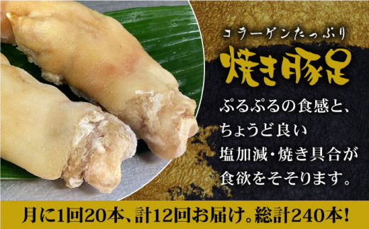 ≪地元人気店の味≫とろけるとんそく【12回定期便】国産焼き豚足たっぷり20本セット×12回【やきとり紋次郎】 [FCJ027]