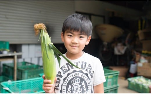 髙橋さんの美味しいとうもろこし サニーショコラ