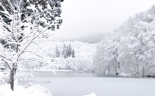 FYN9-757 山形県 西川町 月山 志津温泉 清水屋旅館 ご利用券 3000円